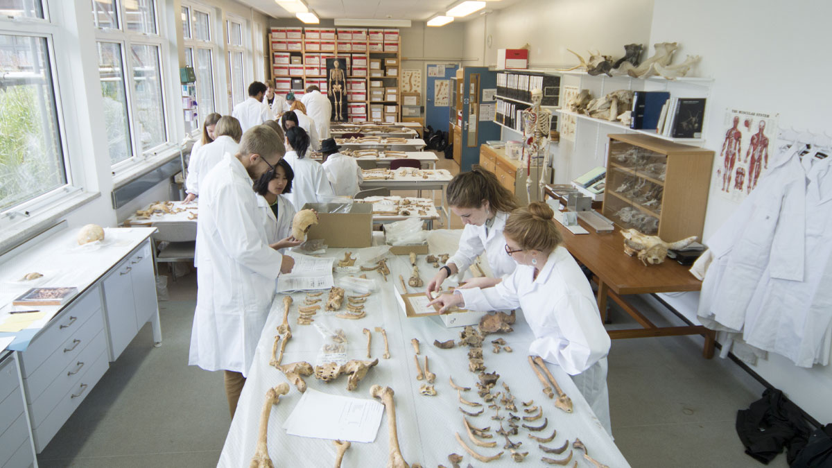 Osteo Lab