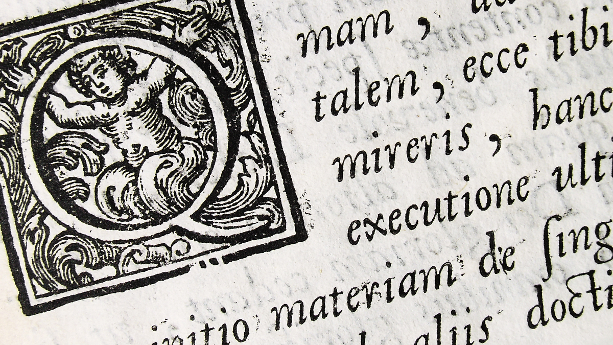 excerpt from a latin book