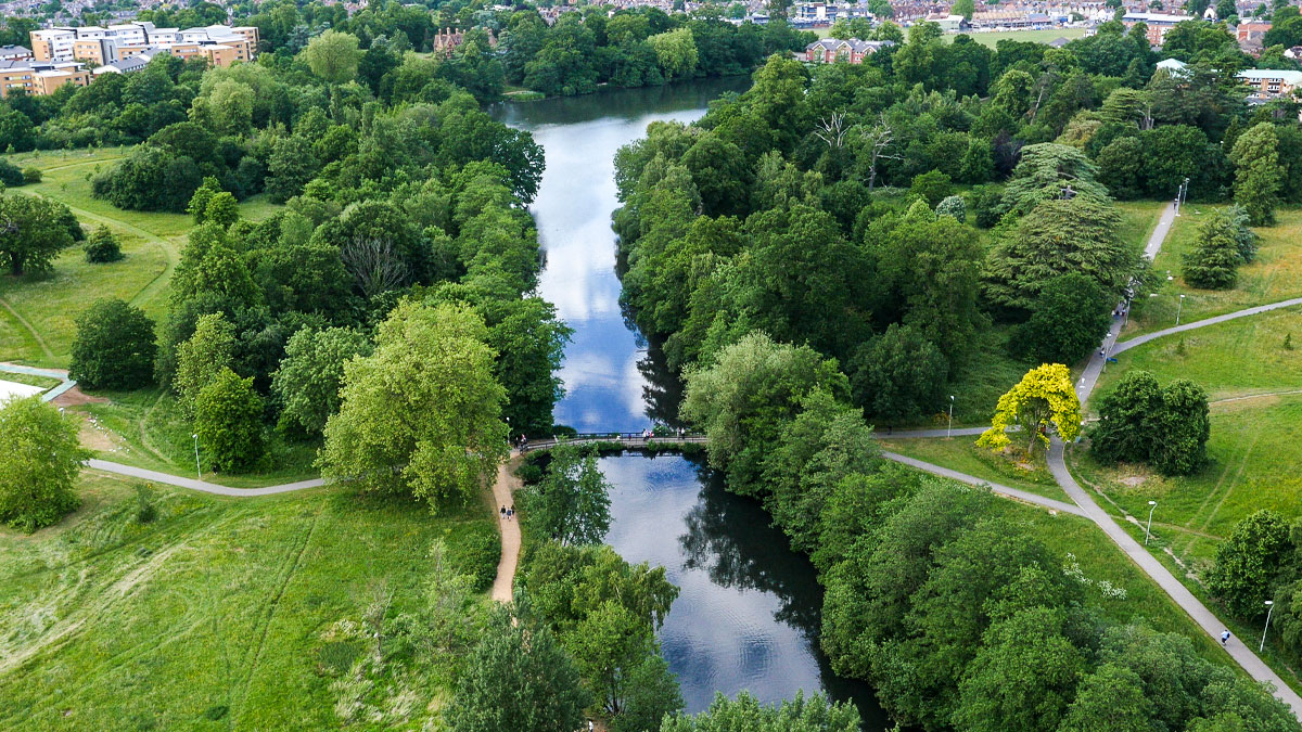Whiteknights lake surrounded by trees