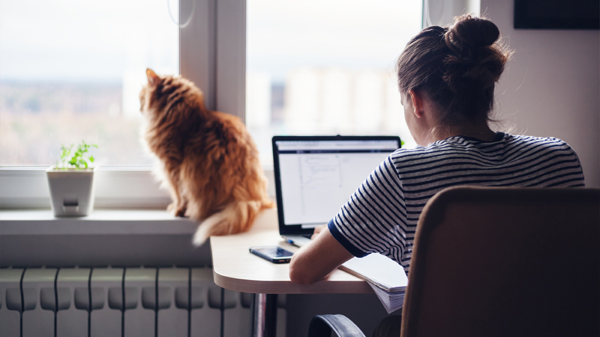 A person working on a laptop from home